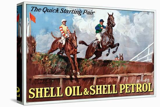 Shell the Quick Strating Pair-null-Stretched Canvas