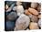 Shells on Edisto Beach, Edisto Beach State Park, South Carolina, USA-Scott T. Smith-Premier Image Canvas