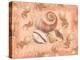 Shells on Shore-Bee Sturgis-Stretched Canvas