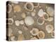 Shells on the Beach, Ko Chang, Thailand-Gavriel Jecan-Premier Image Canvas