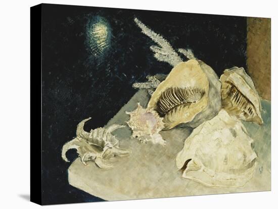 Shells-Glyn Warren Philpot-Premier Image Canvas