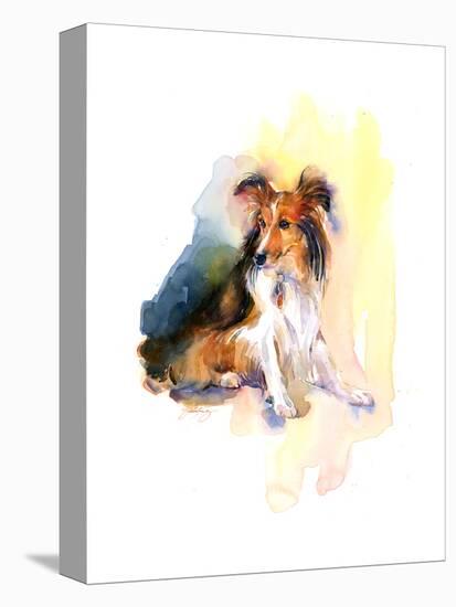 Sheltie Portrait, 2015-John Keeling-Premier Image Canvas