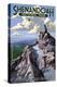 Shenandoah National Park, Virginia - Stony Man Cliffs View-Lantern Press-Stretched Canvas