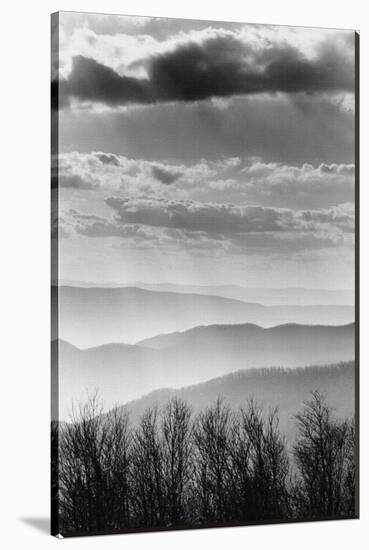 Shenandoah National Park, Virginia-null-Stretched Canvas