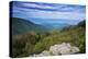 Shenandoah vista, Blue Ridge Parkway, Smoky Mountains, USA.-Anna Miller-Premier Image Canvas
