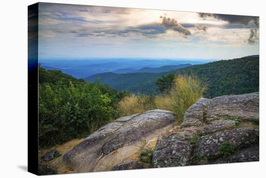 Shenandoah vista, Blue Ridge Parkway, Smoky Mountains, USA.-Anna Miller-Premier Image Canvas