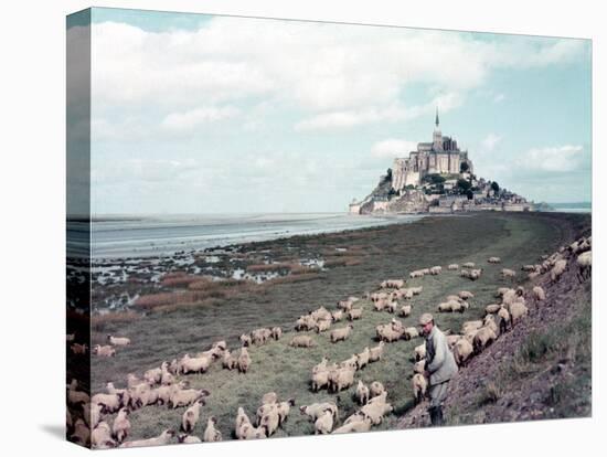 Shepherd Tending Flock of Sheep, Mont Saint Michel, a 13th Cent. Abbey and Town on Brittany Coast-Nat Farbman-Premier Image Canvas