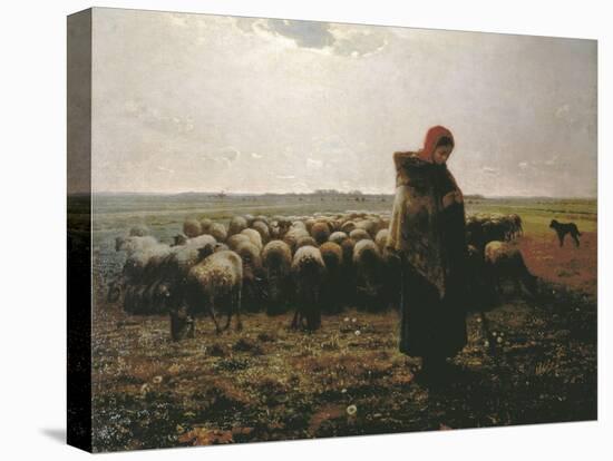 Shepherdess with Her Flock-Jean-François Millet-Stretched Canvas