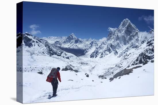 Sherpa Guide Walking over Cho La Pass with Ama Dablam on Left and Arakam Tse on Right Side-Peter Barritt-Premier Image Canvas