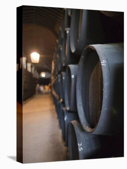 Sherry Casks, Bodegas Gonzalez Byass, Jerez De La Frontera, Spain-Walter Bibikow-Premier Image Canvas