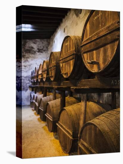 Sherry Casks, Bodegas Gonzalez Byass, Jerez De La Frontera, Spain-Walter Bibikow-Premier Image Canvas