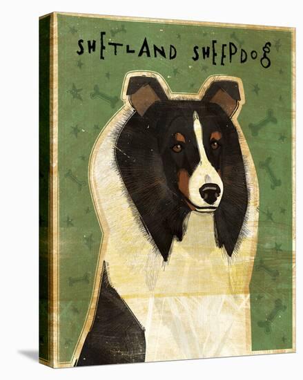 Shetland Sheepdog (Tri-Color)-John Golden-Stretched Canvas