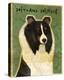 Shetland Sheepdog (Tri-Color)-John Golden-Stretched Canvas