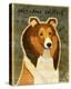 Shetland Sheepdog-John W Golden-Stretched Canvas