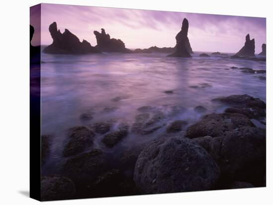 Shi Shi Beach, Olympic National Park, UNESCO World Heritage Site, Washington State, USA-Colin Brynn-Premier Image Canvas