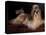 Shih Tzu Portrait with Hair Tied Up, Lying on Drawers-Adriano Bacchella-Premier Image Canvas