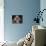 Shih Tzu with Blue Bow-Jai Johnson-Premier Image Canvas displayed on a wall