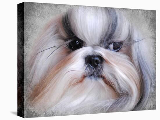 Shihtzu Portrait-Jai Johnson-Premier Image Canvas