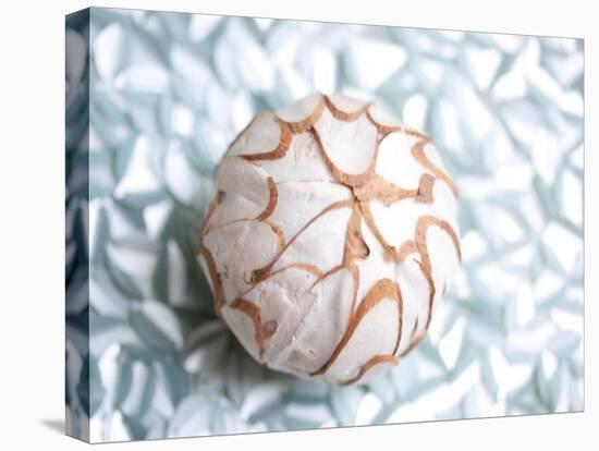 Shimmer Shells I-Susan Bryant-Stretched Canvas