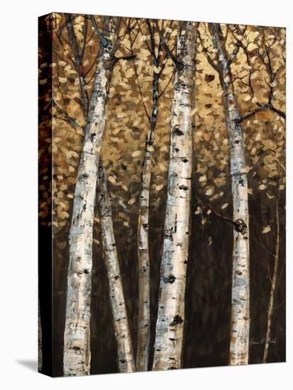 Shimmering Birches 2-Arnie Fisk-Stretched Canvas