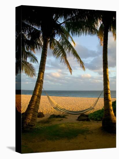 Ship Wreck Beach and Hammock, Kauai, Hawaii, USA-Terry Eggers-Premier Image Canvas