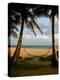 Ship Wreck Beach and Hammock, Kauai, Hawaii, USA-Terry Eggers-Premier Image Canvas