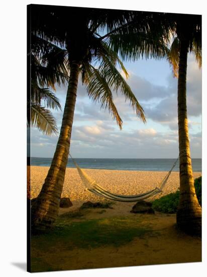 Ship Wreck Beach and Hammock, Kauai, Hawaii, USA-Terry Eggers-Premier Image Canvas