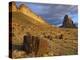 Shiprock, the basalt core of an extinct volcano, New Mexico-Tim Fitzharris-Stretched Canvas