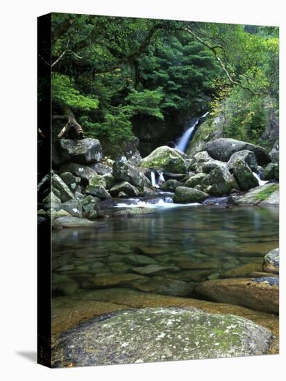 Shiratani Unsuikyo, Yakushima, Kagoshima, Japan-Rob Tilley-Premier Image Canvas