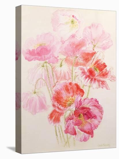 Shirley Poppies-Joan Thewsey-Premier Image Canvas
