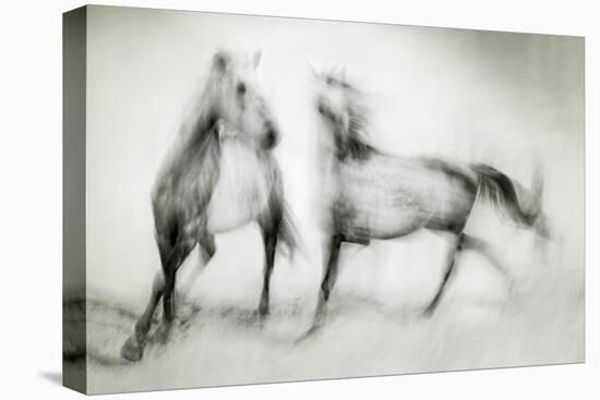 Shivers-Martine Benezech-Premier Image Canvas