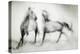 Shivers-Martine Benezech-Premier Image Canvas
