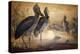 Shoebilled Stork, 1861-Joseph Wolf-Premier Image Canvas