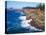 Shore Acres State Park, Oregon Coast, USA-Janis Miglavs-Premier Image Canvas