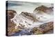 Shore Acres State Park, Oregon, USA. Blur of waves flowing over rocks.-Emily Wilson-Premier Image Canvas