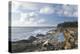 Shore Acres State Park, Oregon.-Alan Majchrowicz-Premier Image Canvas