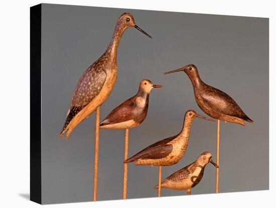 Shore Bird Decoys, USA-Gavriel Jecan-Premier Image Canvas