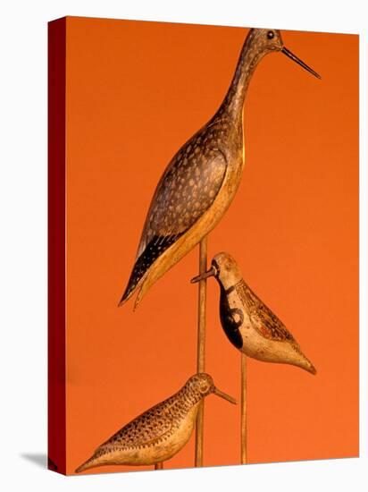 Shore Bird Decoys, USA-Gavriel Jecan-Premier Image Canvas