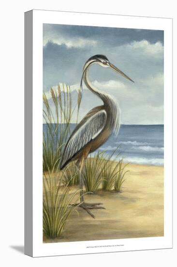 Shore Bird I-Ethan Harper-Stretched Canvas