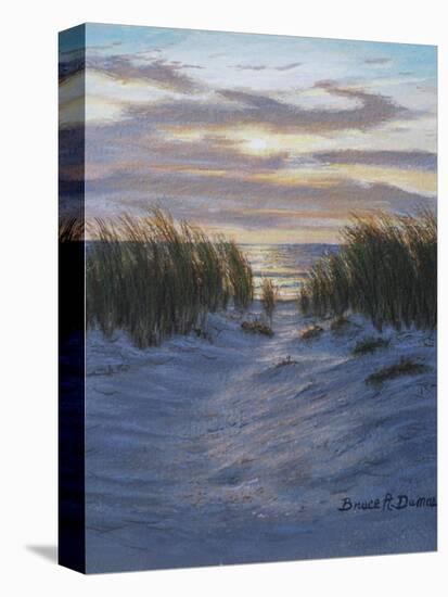 Shore Path-Bruce Dumas-Premier Image Canvas