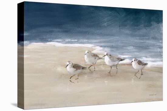 Shorebirds on Sand I Blue-Danhui Nai-Stretched Canvas