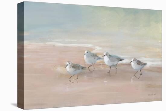 Shorebirds on the Sand I-Danhui Nai-Stretched Canvas