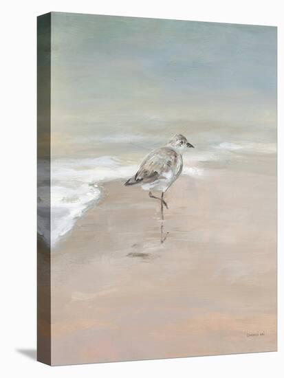 Shorebirds on the Sand II-Danhui Nai-Stretched Canvas