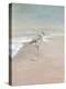 Shorebirds on the Sand II-Danhui Nai-Stretched Canvas