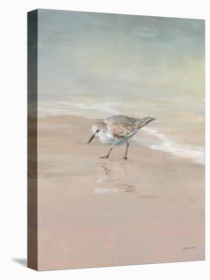 Shorebirds on the Sand III-Danhui Nai-Stretched Canvas