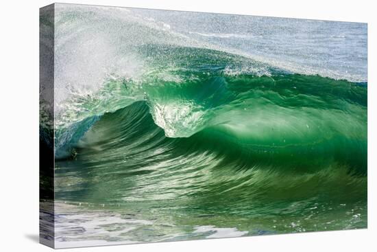 Shorebreak wave, Shelly Beach, Caloundra, Sunshine Coast, Queensland, Australia-Mark A Johnson-Premier Image Canvas