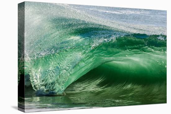 Shorebreak wave, Shelly Beach, Caloundra, Sunshine Coast, Queensland, Australia-Mark A Johnson-Premier Image Canvas