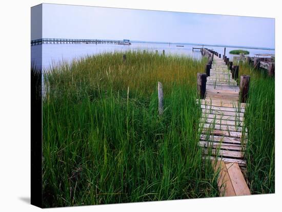 Shoreline and Dock, Chincoteague Island-Mark Gibson-Premier Image Canvas