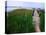 Shoreline and Dock, Chincoteague Island-Mark Gibson-Premier Image Canvas