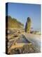 Shoreline and Seastacks, Ruby Beach, Olympic National Park, Washington, USA-Jamie & Judy Wild-Premier Image Canvas